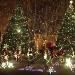 【クリスマスデート】付き合ってない2人におすすめのプラン5選